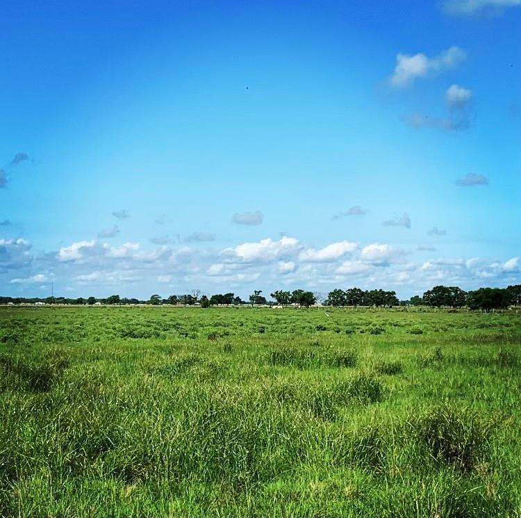 Needville, TX 77461,00000 Brumbelow RD