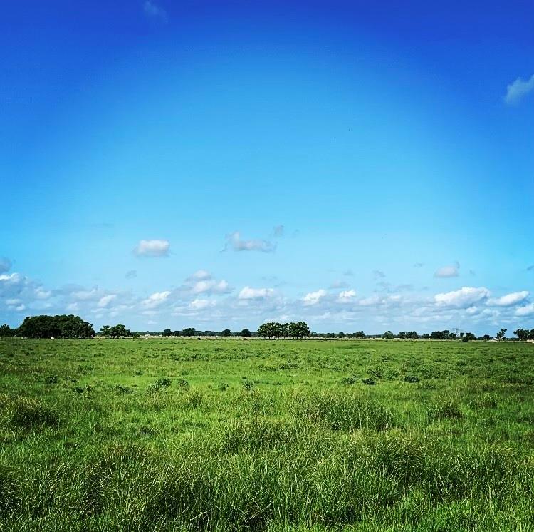 Needville, TX 77461,00000 Brumbelow RD