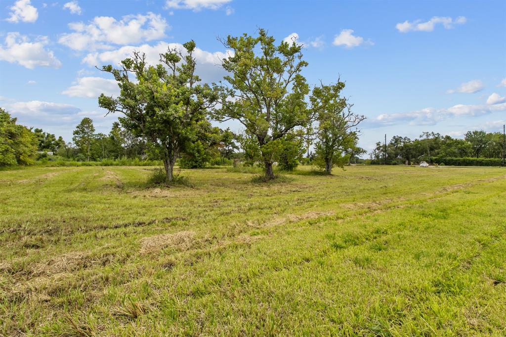 1706 Roy Road, Pearland, Texas 77581, ,Lots,For Sale,Roy,47081658