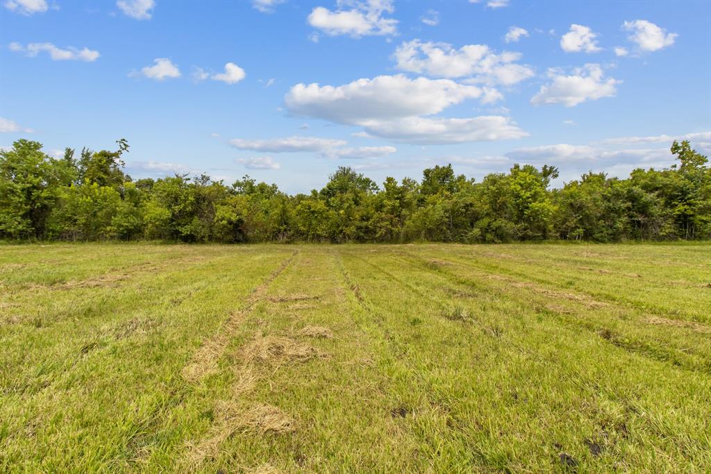 1706 Roy Road, Pearland, Texas 77581, ,Lots,For Sale,Roy,47081658