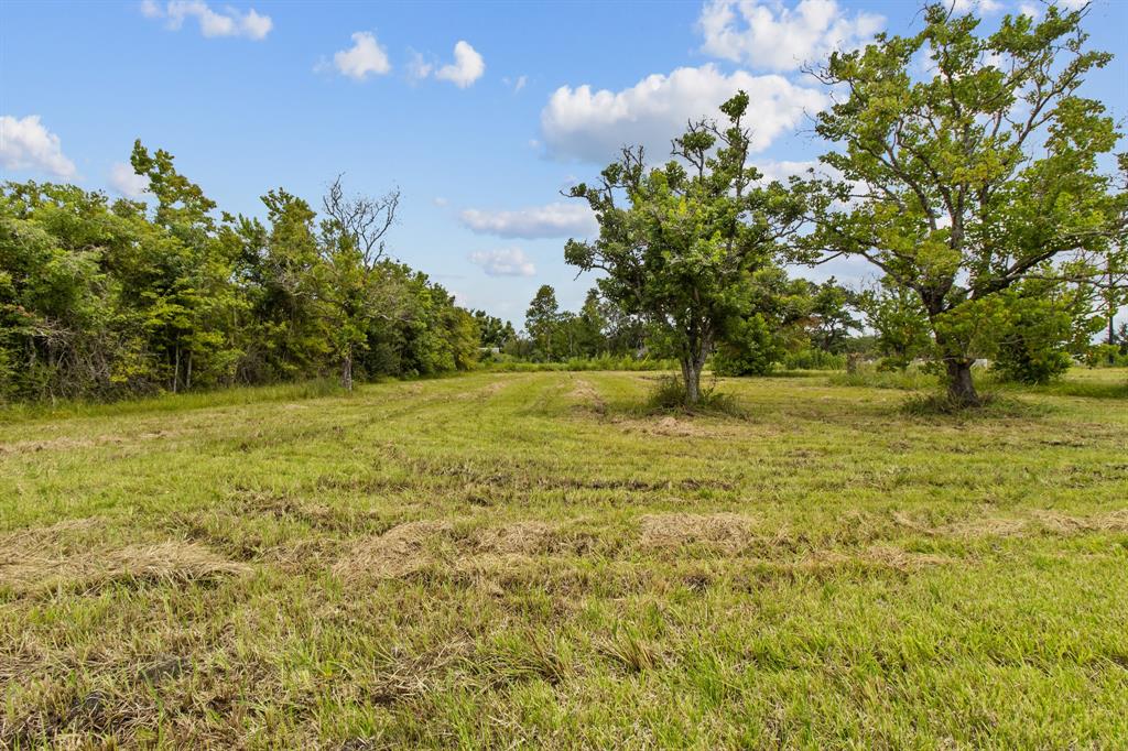 1706 Roy Road, Pearland, Texas 77581, ,Lots,For Sale,Roy,47081658