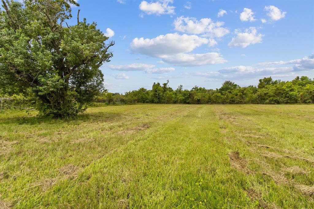 1706 Roy Road, Pearland, Texas 77581, ,Lots,For Sale,Roy,47081658