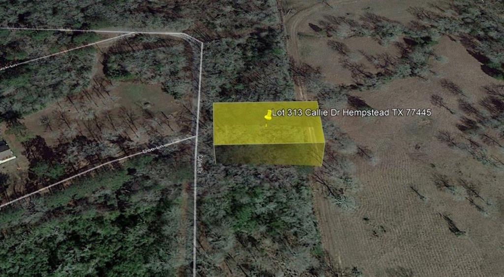 Hempstead, TX 77445,Lot 313 Callie DR