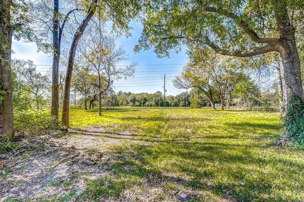 1005 Blackhaw Street, Houston, Texas 77079, ,Lots,For Sale,Blackhaw,34926364