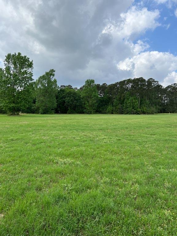 Tract 2 Reagan Reserve, Magnolia, Texas 77354, ,Lots,For Sale,Reagan Reserve,4687749