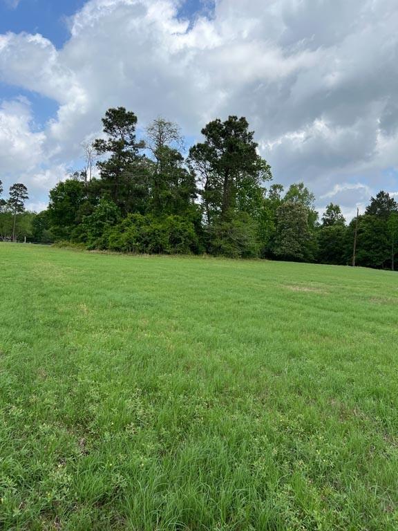 Tract 2 Reagan Reserve, Magnolia, Texas 77354, ,Lots,For Sale,Reagan Reserve,4687749