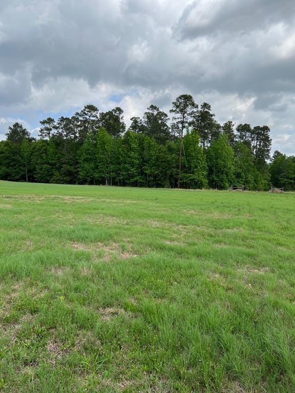 Tract 2 Reagan Reserve, Magnolia, Texas 77354, ,Lots,For Sale,Reagan Reserve,4687749