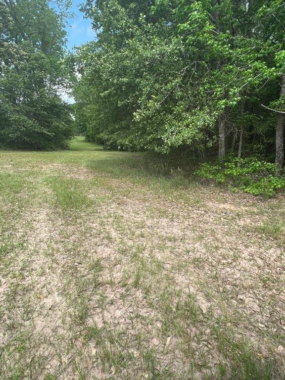 Tract 2 Reagan Reserve, Magnolia, Texas 77354, ,Lots,For Sale,Reagan Reserve,4687749