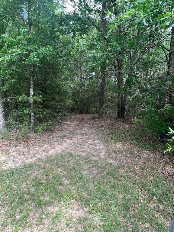 Tract 2 Reagan Reserve, Magnolia, Texas 77354, ,Lots,For Sale,Reagan Reserve,4687749