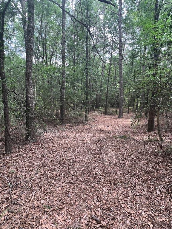 Tract 2 Reagan Reserve, Magnolia, Texas 77354, ,Lots,For Sale,Reagan Reserve,4687749