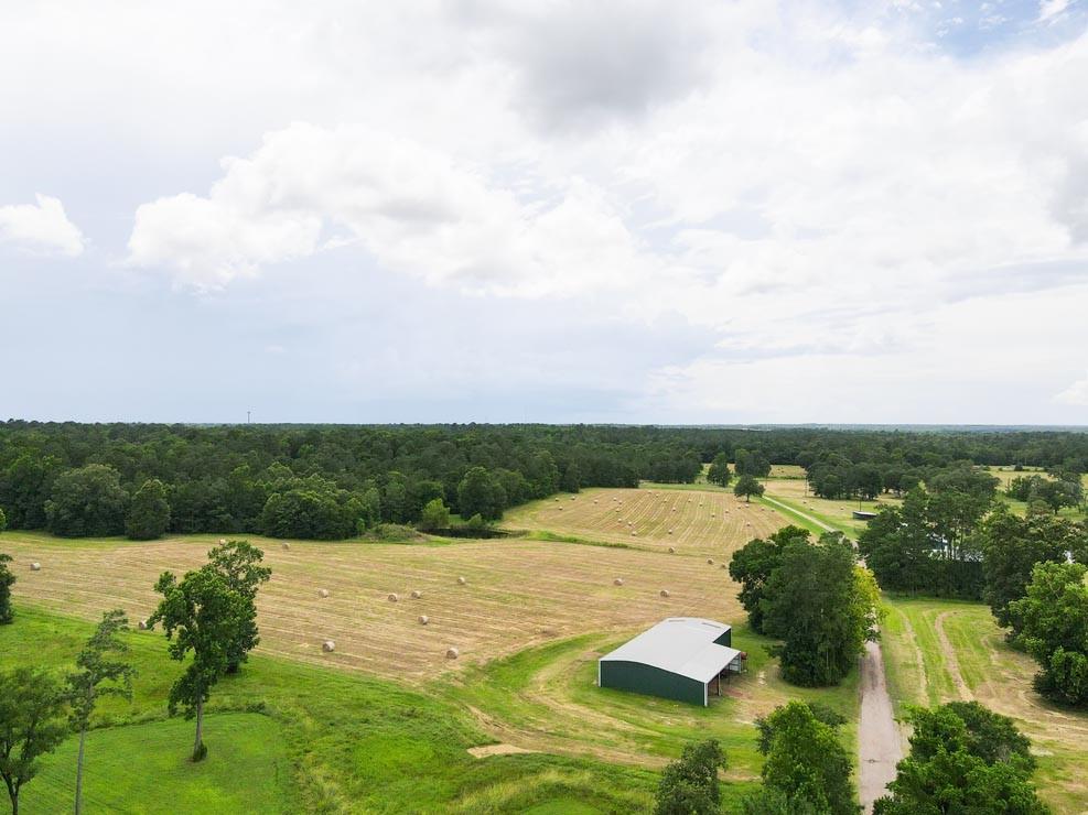 Tract 5 Reagan Reserve, Magnolia, Texas 77354, ,Country Homes/acreage,For Sale,Reagan Reserve,68818295