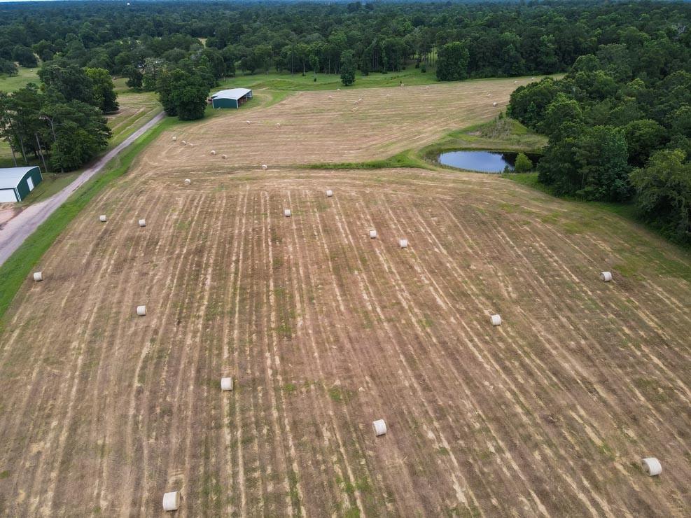 Tract 5 Reagan Reserve, Magnolia, Texas 77354, ,Country Homes/acreage,For Sale,Reagan Reserve,68818295