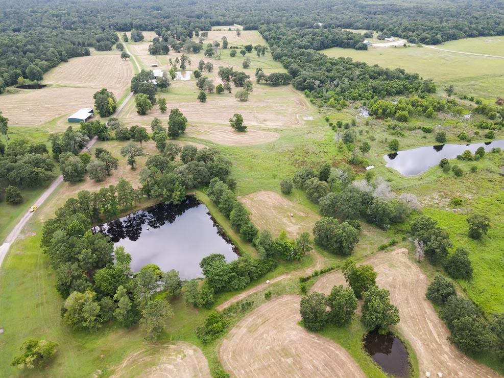 Tract 5 Reagan Reserve, Magnolia, Texas 77354, ,Country Homes/acreage,For Sale,Reagan Reserve,68818295