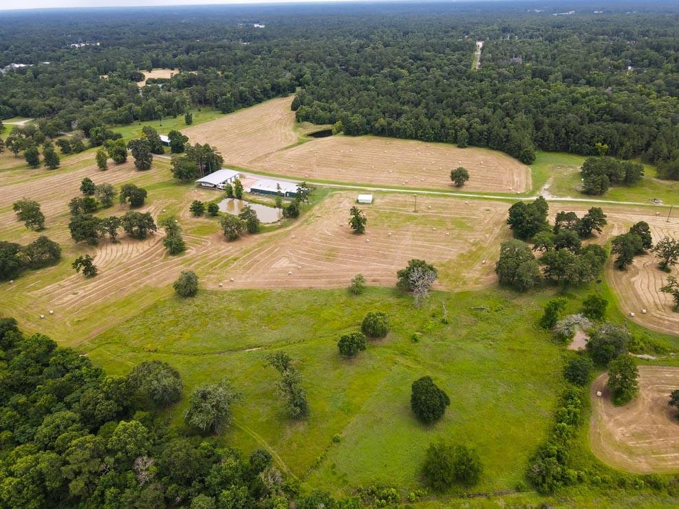 Tract 5 Reagan Reserve, Magnolia, Texas 77354, ,Country Homes/acreage,For Sale,Reagan Reserve,68818295