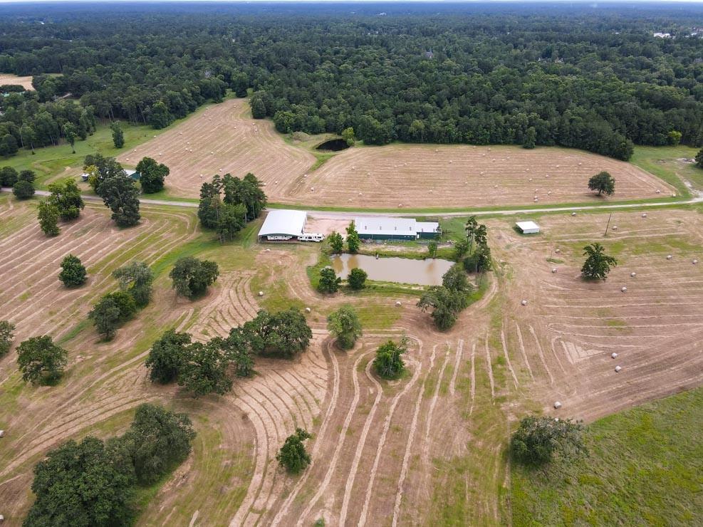 Tract 5 Reagan Reserve, Magnolia, Texas 77354, ,Country Homes/acreage,For Sale,Reagan Reserve,68818295