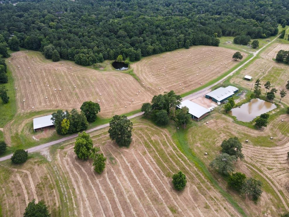 Tract 5 Reagan Reserve, Magnolia, Texas 77354, ,Country Homes/acreage,For Sale,Reagan Reserve,68818295
