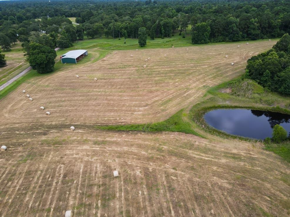 Tract 5 Reagan Reserve, Magnolia, Texas 77354, ,Country Homes/acreage,For Sale,Reagan Reserve,68818295