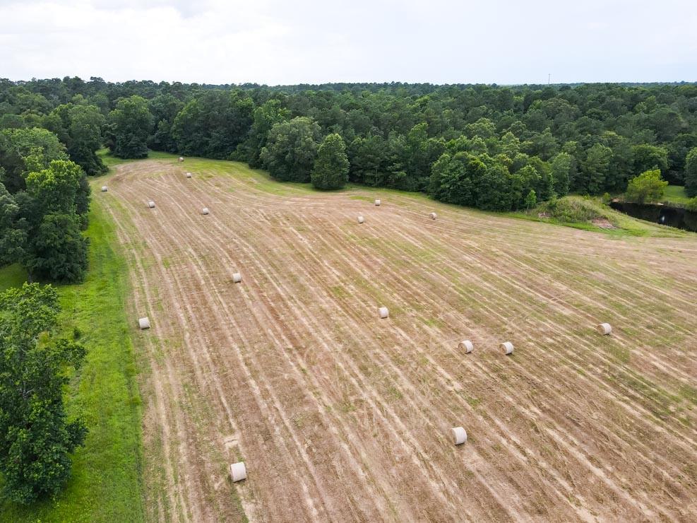 Tract 5 Reagan Reserve, Magnolia, Texas 77354, ,Country Homes/acreage,For Sale,Reagan Reserve,68818295