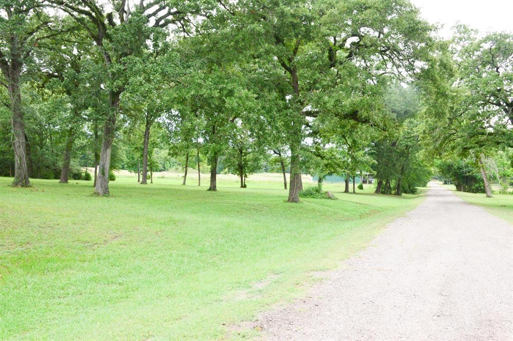 Tract 5 Reagan Reserve, Magnolia, Texas 77354, ,Country Homes/acreage,For Sale,Reagan Reserve,68818295