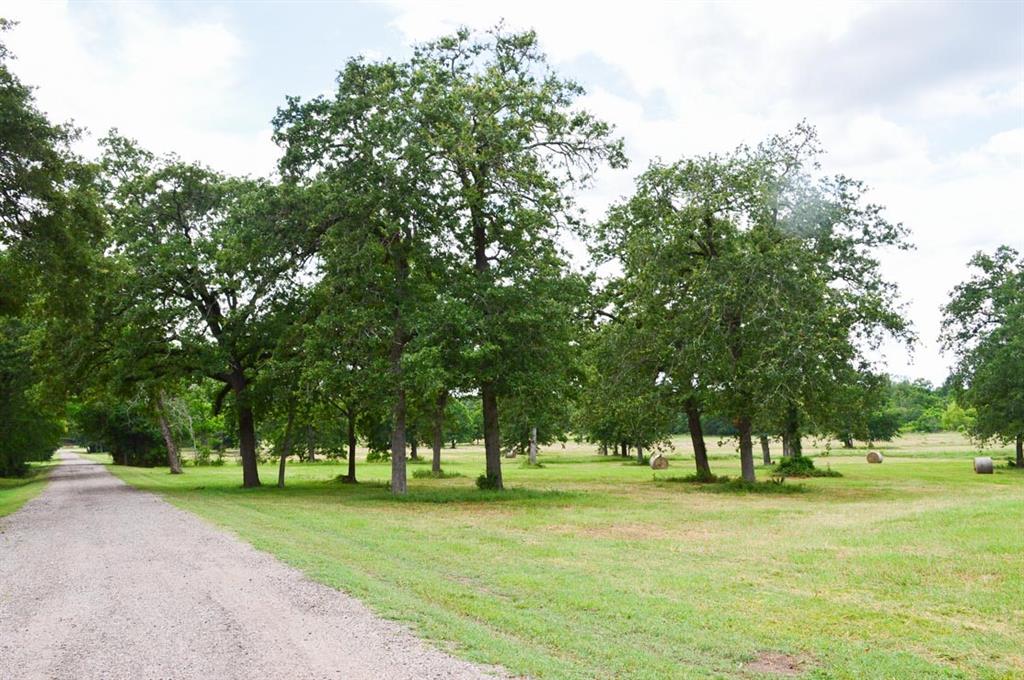 Tract 5 Reagan Reserve, Magnolia, Texas 77354, ,Country Homes/acreage,For Sale,Reagan Reserve,68818295