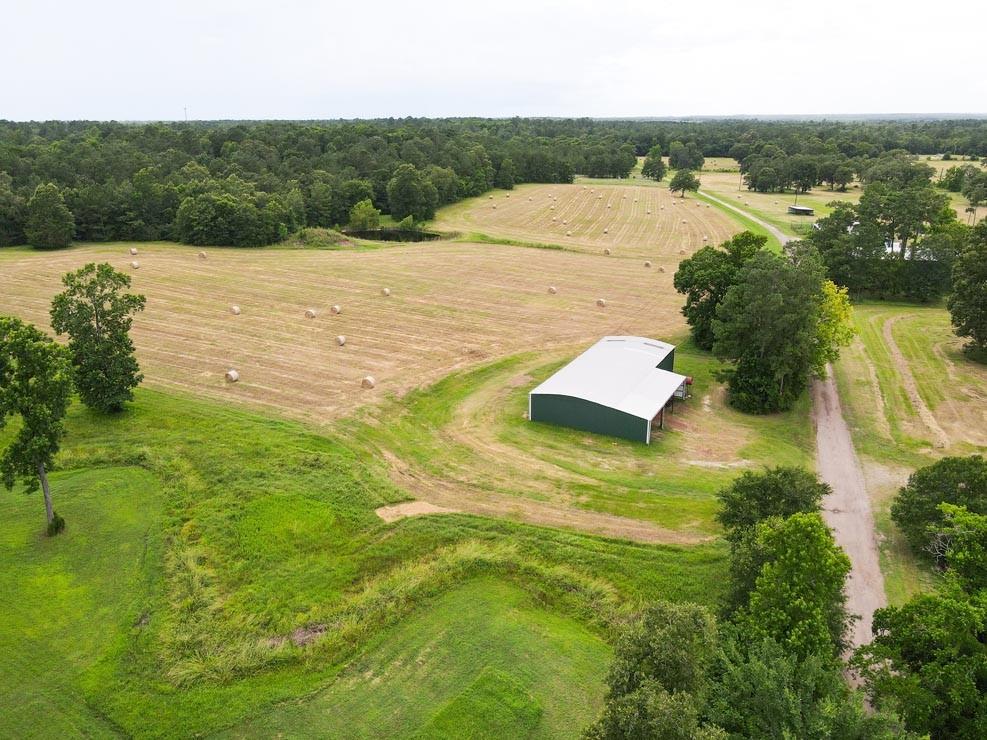Tract 5 Reagan Reserve, Magnolia, Texas 77354, ,Country Homes/acreage,For Sale,Reagan Reserve,68818295