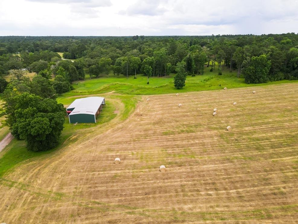 Tract 5 Reagan Reserve, Magnolia, Texas 77354, ,Country Homes/acreage,For Sale,Reagan Reserve,68818295