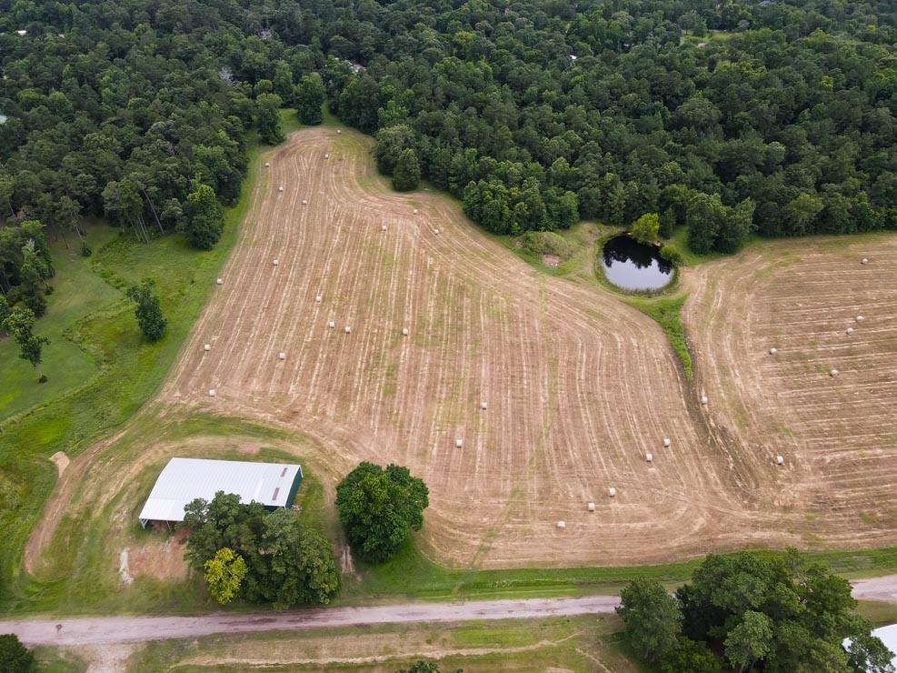Tract 5 Reagan Reserve, Magnolia, Texas 77354, ,Country Homes/acreage,For Sale,Reagan Reserve,68818295