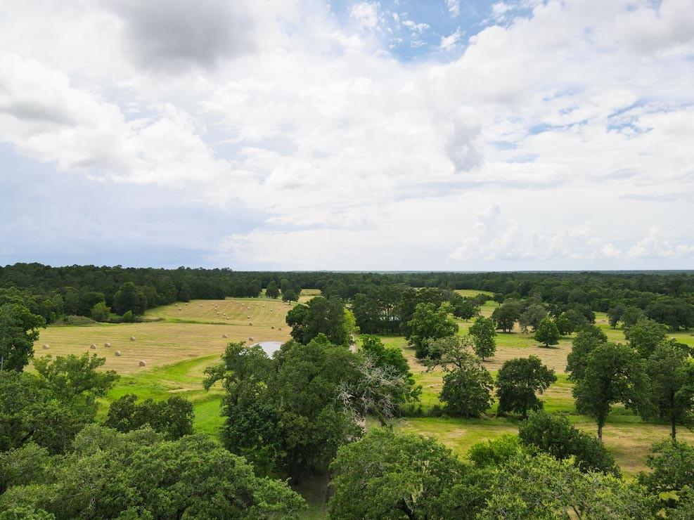 Tract 5 Reagan Reserve, Magnolia, Texas 77354, ,Country Homes/acreage,For Sale,Reagan Reserve,68818295