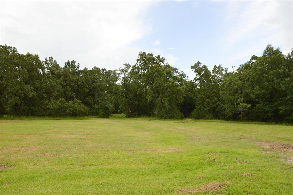 Tract 7 Reagan Reserve, Magnolia, Texas 77354, ,Country Homes/acreage,For Sale,Reagan Reserve,20794112