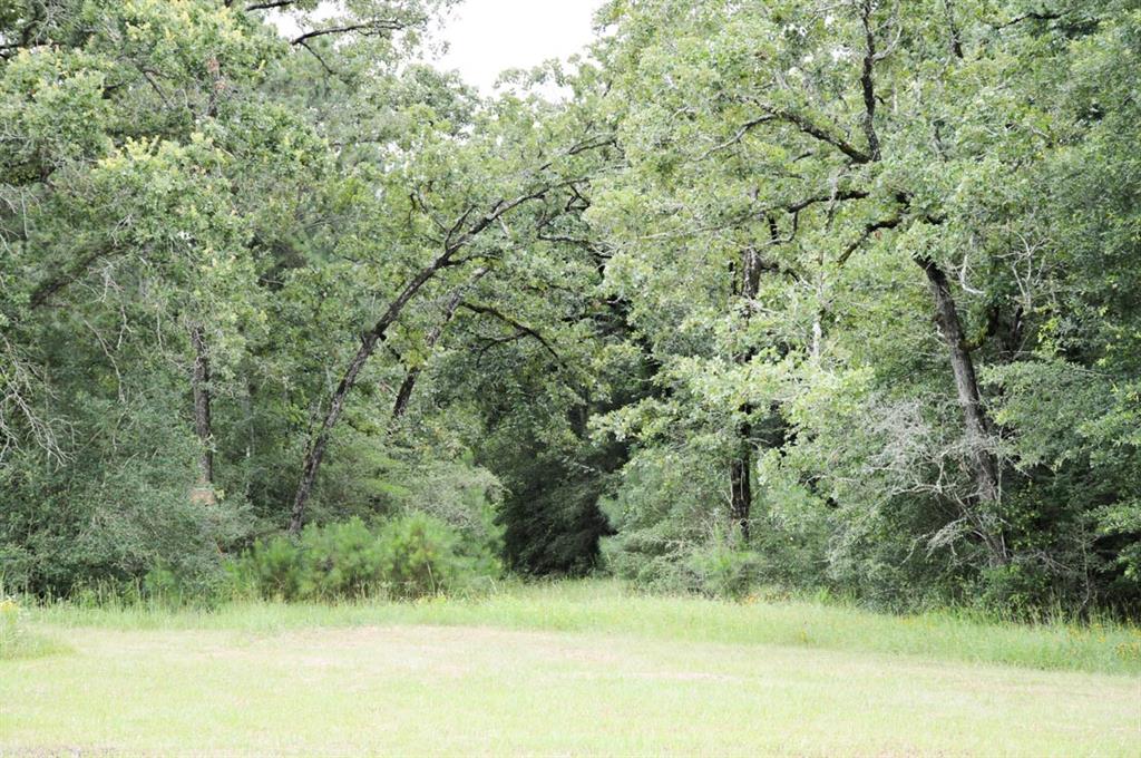 Tract 7 Reagan Reserve, Magnolia, Texas 77354, ,Country Homes/acreage,For Sale,Reagan Reserve,20794112