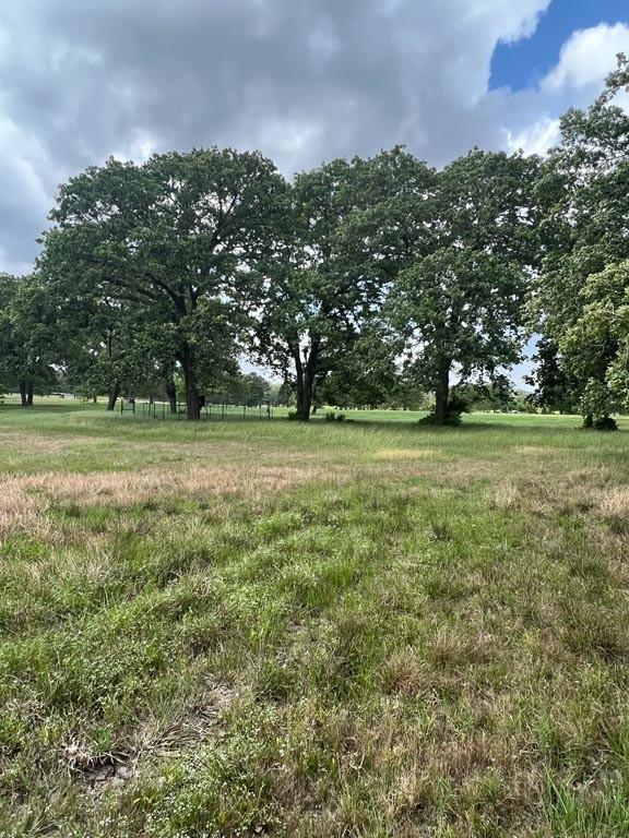 Tract 13 Reagan Reserve, Magnolia, Texas 77354, ,Lots,For Sale,Reagan Reserve,5459358