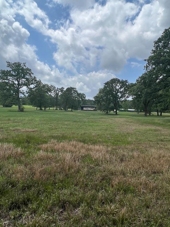 Tract 13 Reagan Reserve, Magnolia, Texas 77354, ,Lots,For Sale,Reagan Reserve,5459358