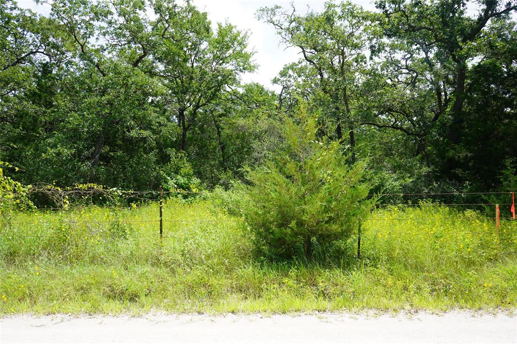 Anderson, TX 77830,Lot 14 TBD County Road 190