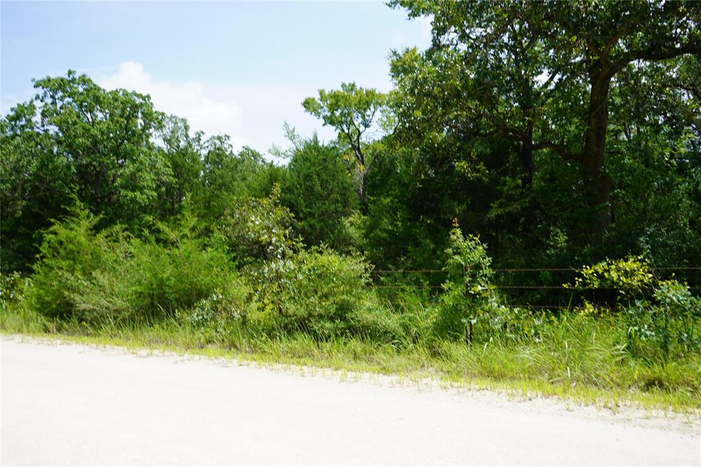 Anderson, TX 77830,Lot 14 TBD County Road 190