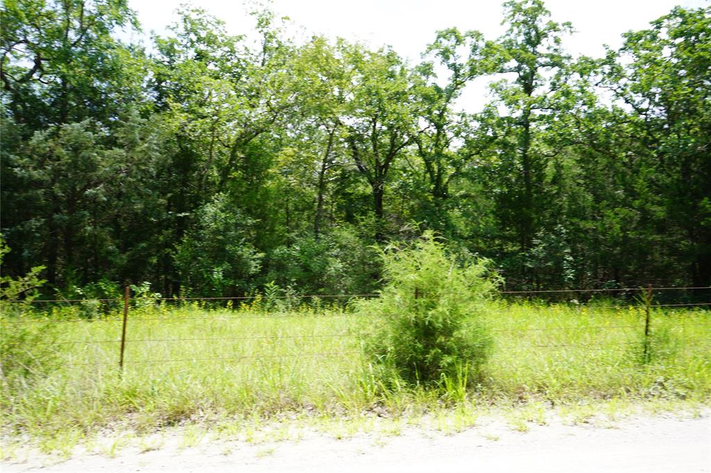 Anderson, TX 77830,Lot 14 TBD County Road 190