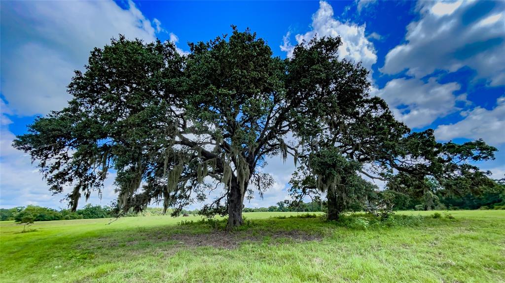 Weimar, TX 78962,170 Acres County Road 223