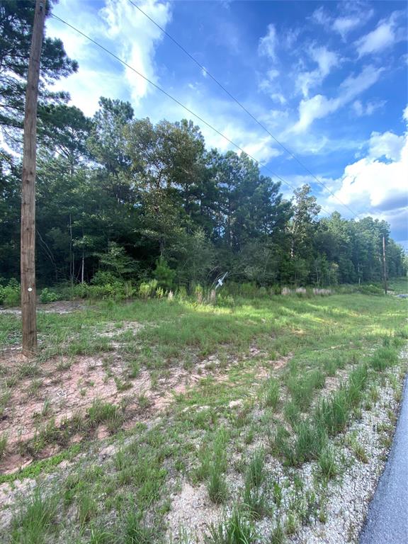000  Sky Oak Lane Huntsville Texas 77340, Huntsville