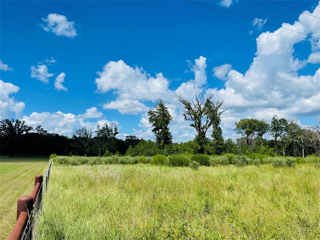 13AC HWY 164, Buffalo, TX 75831