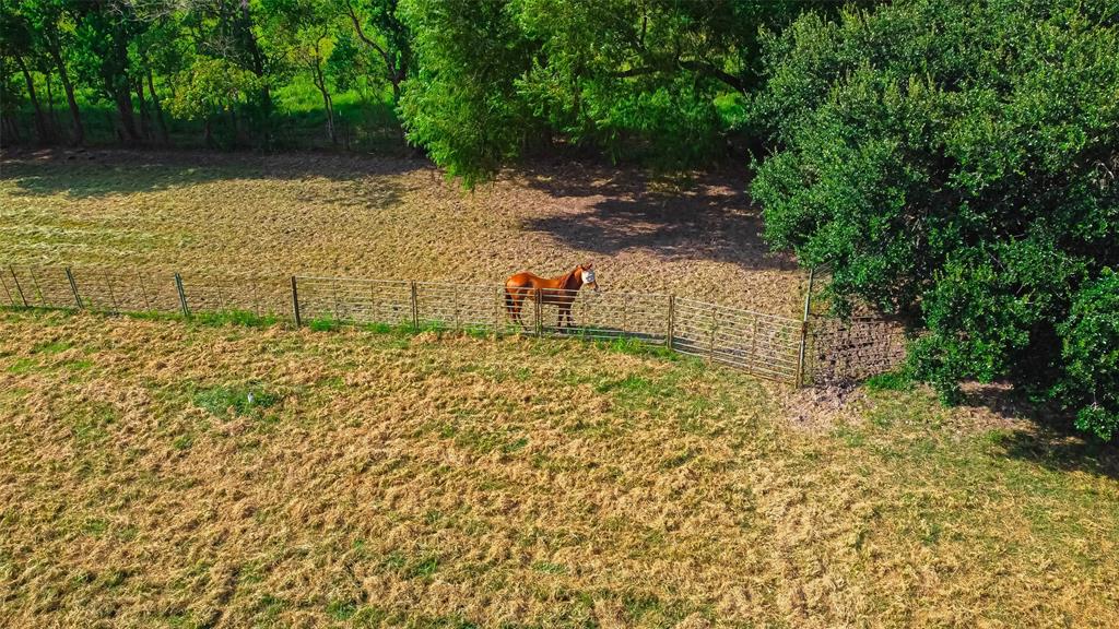 14401 1 Bohemian Hall Road, Crosby, Texas 77532, 3 Bedrooms Bedrooms, 7 Rooms Rooms,2 BathroomsBathrooms,Single-family,For Sale,Bohemian Hall,47834252