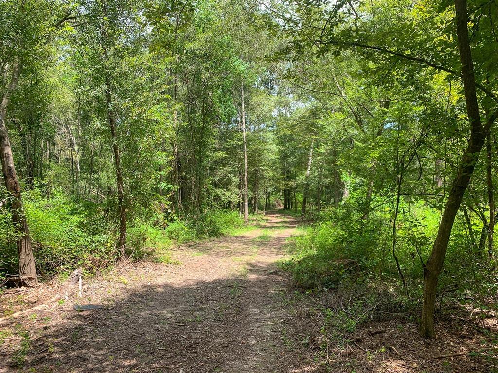 00 Scott Gardner Rd, New Caney, Texas 77357, ,Country Homes/acreage,For Sale,Scott Gardner Rd,21788404