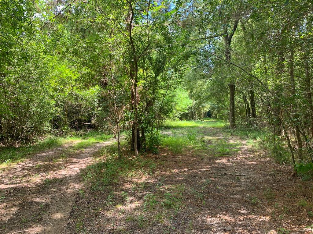 00 Scott Gardner Rd, New Caney, Texas 77357, ,Country Homes/acreage,For Sale,Scott Gardner Rd,21788404