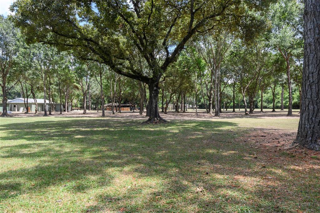 22321 1 Mossy Oaks Road, Spring, Texas 77389, ,Country Homes/acreage,For Sale,Mossy Oaks,66763946