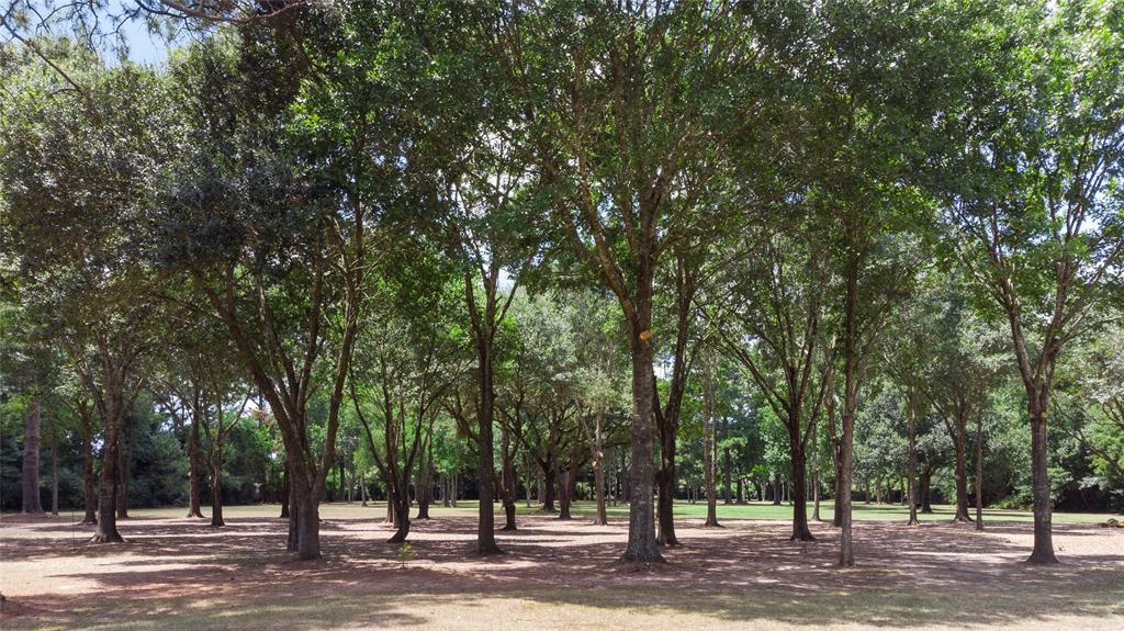 22321 1 Mossy Oaks Road, Spring, Texas 77389, ,Country Homes/acreage,For Sale,Mossy Oaks,66763946