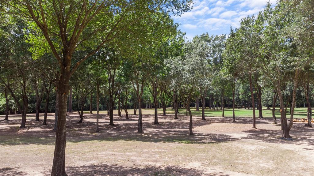 22321 1 Mossy Oaks Road, Spring, Texas 77389, ,Country Homes/acreage,For Sale,Mossy Oaks,66763946
