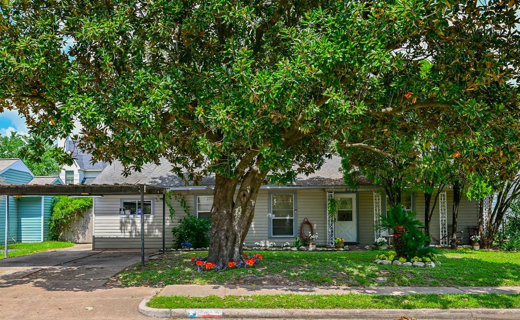 6522 1 Westview Drive, Houston, Texas 77055, 3 Bedrooms Bedrooms, 8 Rooms Rooms,1 BathroomBathrooms,Single-family,For Sale,Westview,62506926