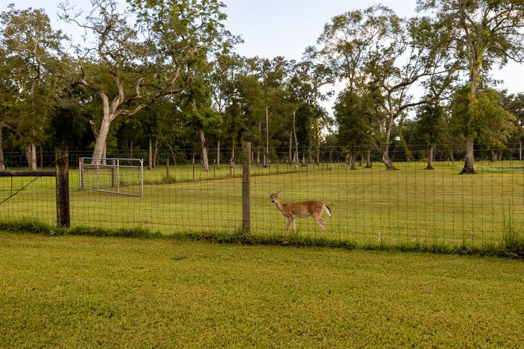 5745 1 County Road 823 Road, West Columbia, Texas 77486, 3 Bedrooms Bedrooms, 8 Rooms Rooms,2 BathroomsBathrooms,Country Homes/acreage,For Sale,County Road 823,44237262