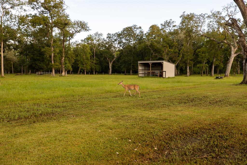 5745 1 County Road 823 Road, West Columbia, Texas 77486, 3 Bedrooms Bedrooms, 8 Rooms Rooms,2 BathroomsBathrooms,Country Homes/acreage,For Sale,County Road 823,44237262