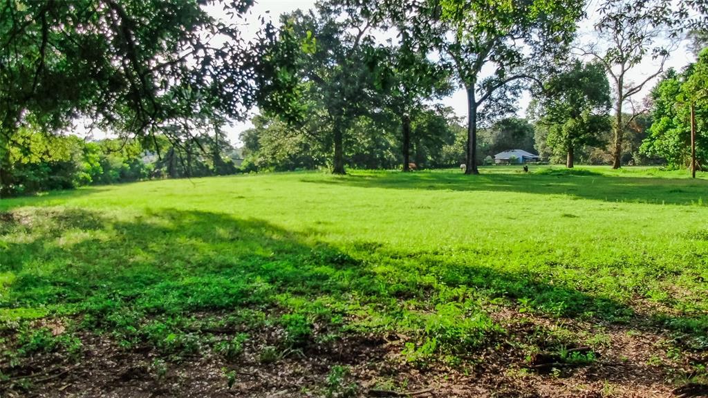 25165 FM 2090 Road, Splendora, Texas 77372, ,Lots,For Sale,FM 2090 Road,47325107