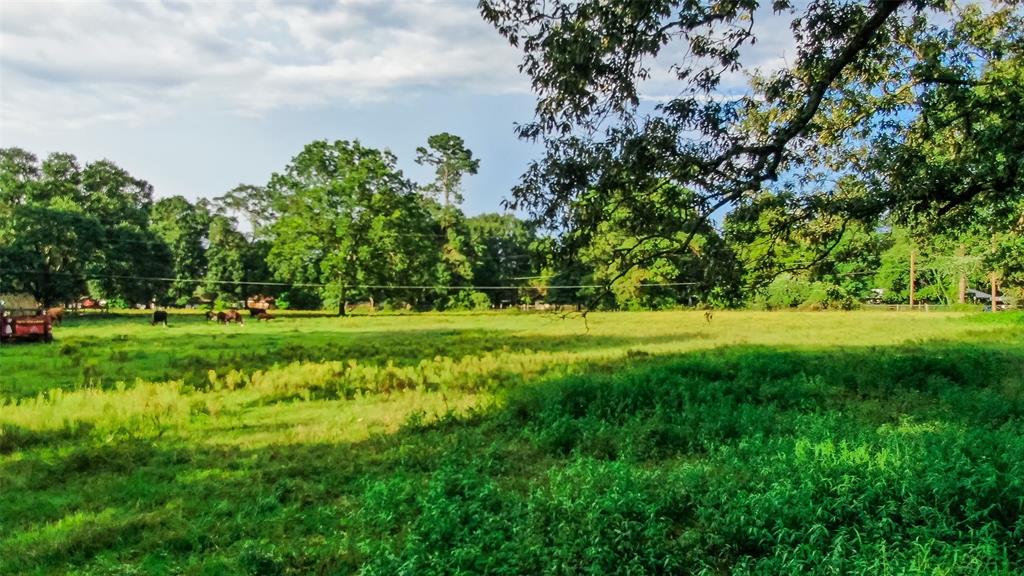 25165 1 Fm 2090 Road, Splendora, Texas 77372, 2 Bedrooms Bedrooms, 2 Rooms Rooms,1 BathroomBathrooms,Single-family,For Sale,Fm 2090,66315353