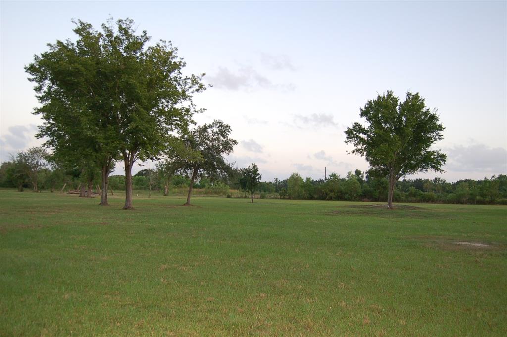 1405 Algoa Friendswood Road, Alvin, Texas 77511, ,Lots,For Sale,Algoa Friendswood,15473203